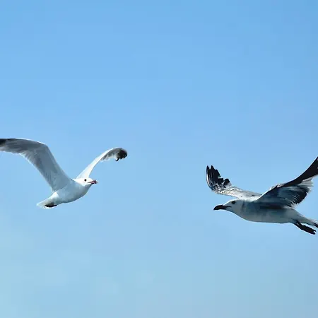 Bed & Breakfast Contemoro Gallipoli