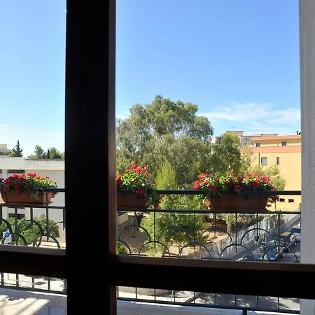 Contemoro 加利波利