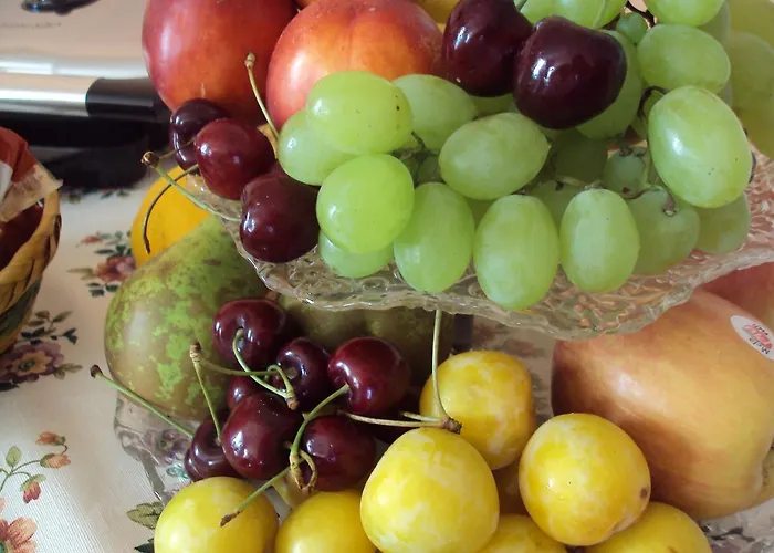 Contemoro 3* غالّيبولي