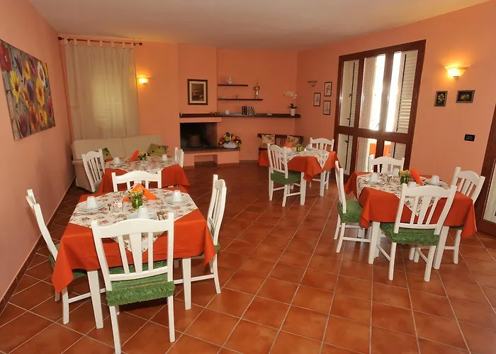 Contemoro غالّيبولي