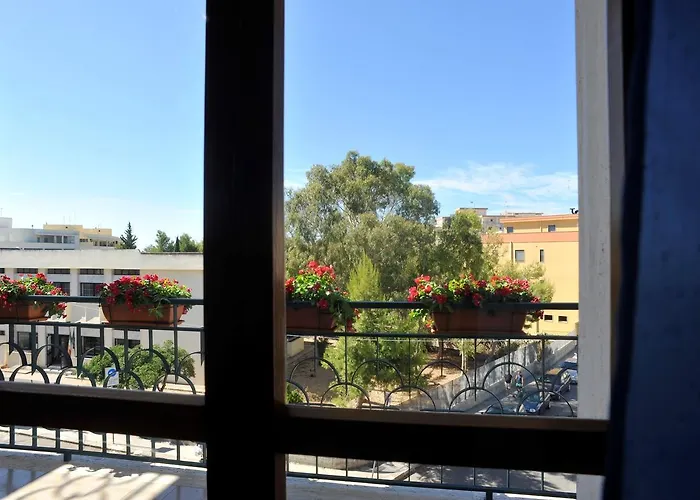 Contemoro غالّيبولي